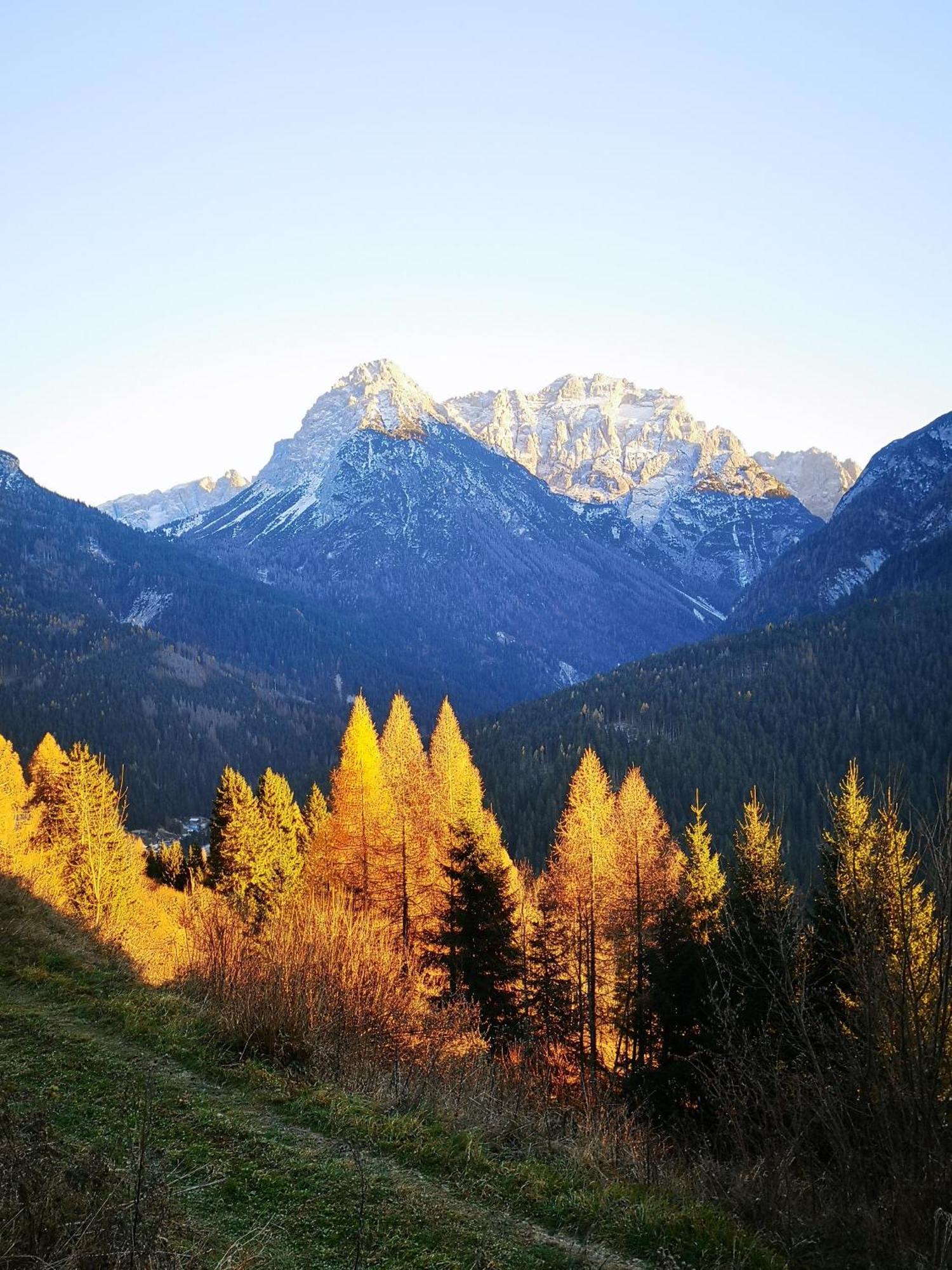 La Terrazzetta Val Comelico Santo Stefano Di Cadore Dış mekan fotoğraf